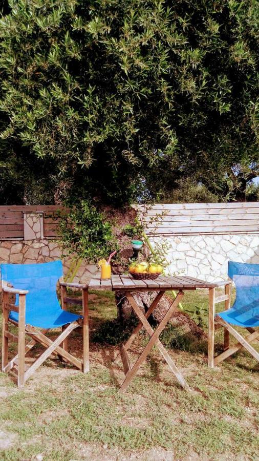 Villa Julia Tsilivi  Dış mekan fotoğraf